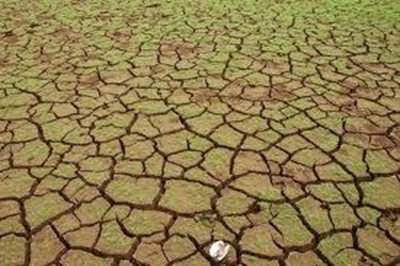 Climate change: a clear and present danger