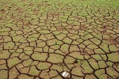 Climate change: a clear and present danger