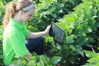 IFP urges matrics to study agriculture
