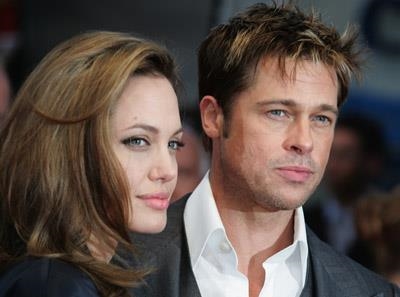 Actors Jolie, Pitt donate enclosure
