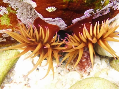 Be responsible and respect marine life