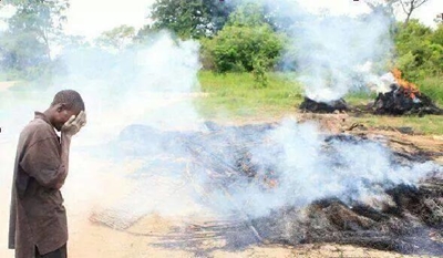 Zim to move 'Big Five' onto contested farm