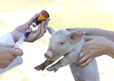Regulating antibiotic usage – Germany leads the way