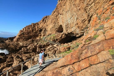 Human origins tourism: visitors double