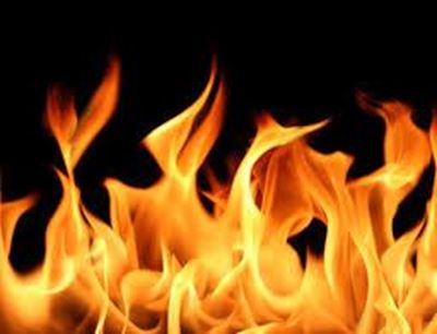 Cape Town fighting 14 vegetation fires