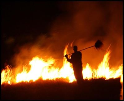 Brand in Kammanassie