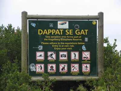Groups rescued off cove