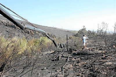 Olyfplaas ly groot skade in brand
