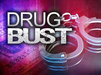 Plett drug bust