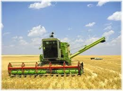 Free State farmers must become pro-active in fight against farm attackers – FSA