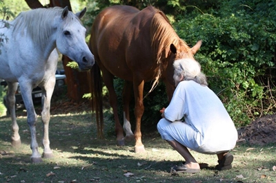 Meet the Sedgefield animal whisperer