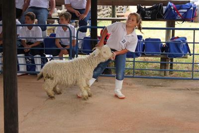 Landbouskou bars uit sy nate