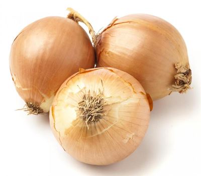 Getting started with onions