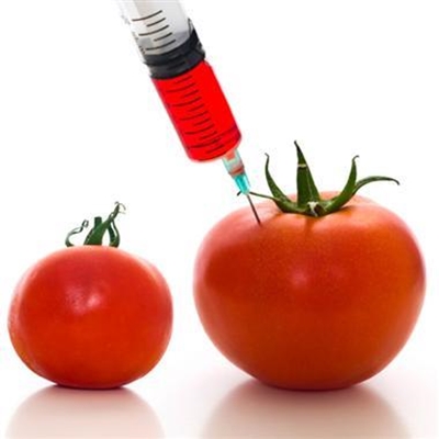 Biotech crops can make major contribution to feeding population