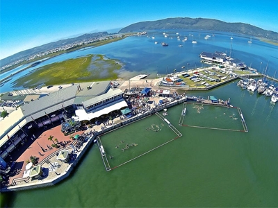 Water polo festival moved to avoid health risk