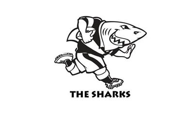 Bok trio in Sharks XV