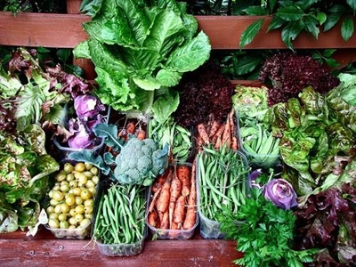 What to do in your garden in March