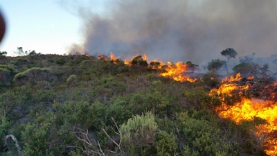 Opvolg: Verwoestende brand op Blombos