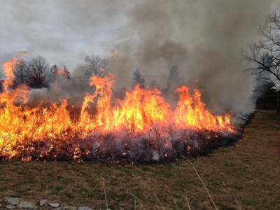 Controlled fire on mountain this afternoon