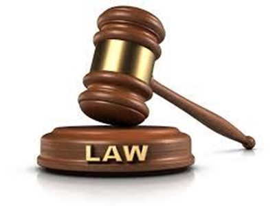 Ballistics expert Mangena takes stand