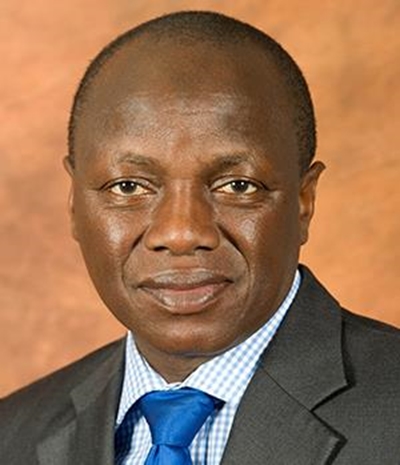 Chabane lik a son: Zuma