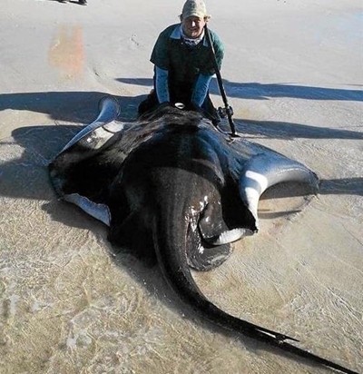 Nasionale kleure vir Stilbaai hengelaar