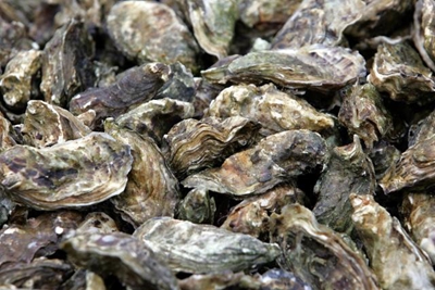 5 Tieners gearresteer vir 959 oesters