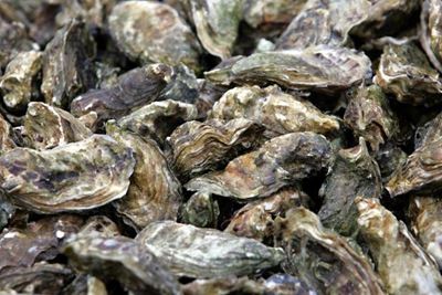 5 Tieners gearresteer vir 959 oesters