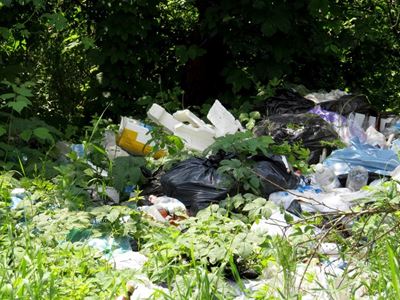Onwelkome elemente ontsier wandelpad