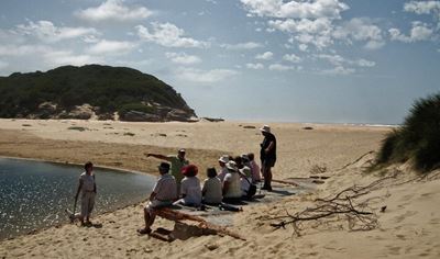 Coastal geology tour