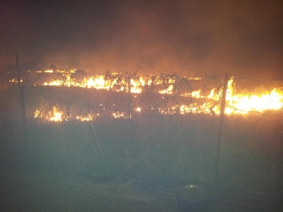 Constant problem of fires in Piet Joubert Street