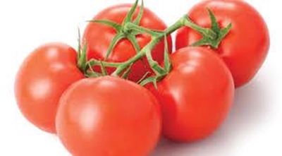 Starting with tomatoes – Part 1
