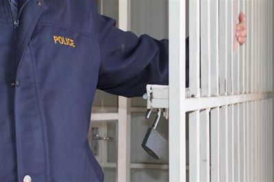 ‘Police officers’ rob family