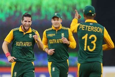 Glamorgan bring in Parnell for T20