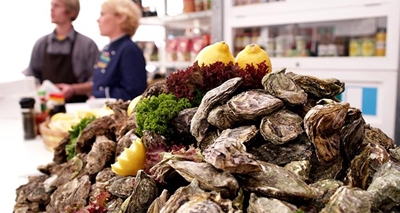 Oyster Festival: Only 6 weeks to go