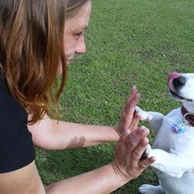 Vote for Knysna's four-legged celebrity