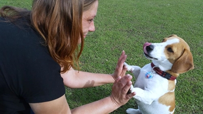 Vote for Knysna's four-legged celebrity