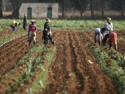 Plaaswerkers kwalifiseer vir nuwe huise