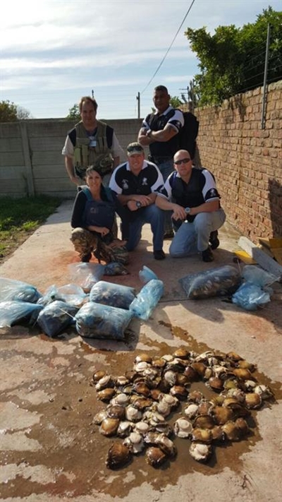 PE police seize abalone valued at R260 000