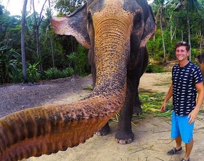 Elephant snatches man's camera, takes 'elphie