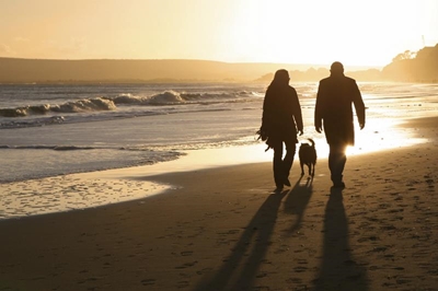 Walking dogs in SANParks' reserves