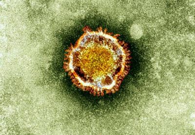 South Korea MERS outbreak
