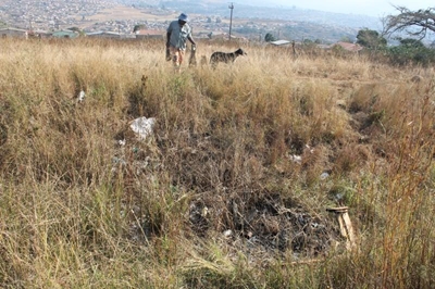 Human flesh dangling from dog’s mouth leads to gruesome find