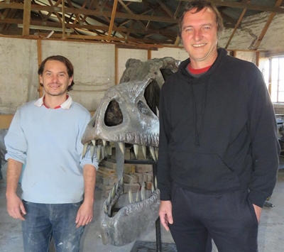 Local builds life-size T-Rex skull