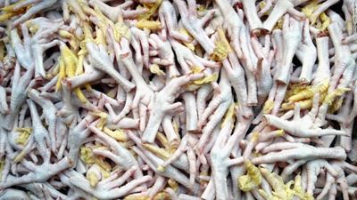 China food scandal: Frozen meat from the 1970s seized
