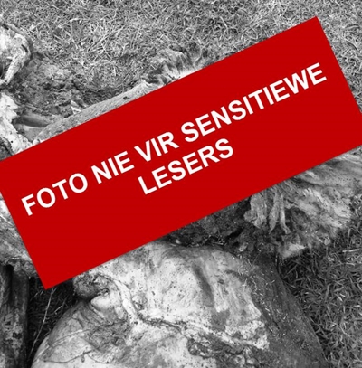 4 gevang vir skaapdiefstal