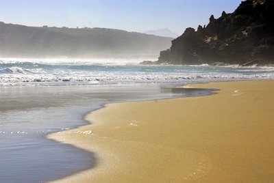 Beaches re-opened after shark attacks
