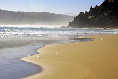 Beaches re-opened after shark attacks