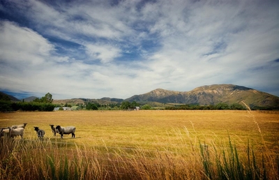 Funding for farming communities to combat crime in country side of South Africa