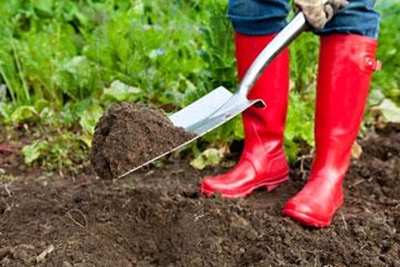 July gardening tips